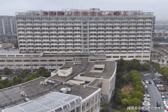 飞檐被精密的喷鼻槟金色线条「撑